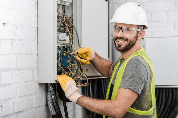 Best Electrical System Inspection  in Hinckley, IL
