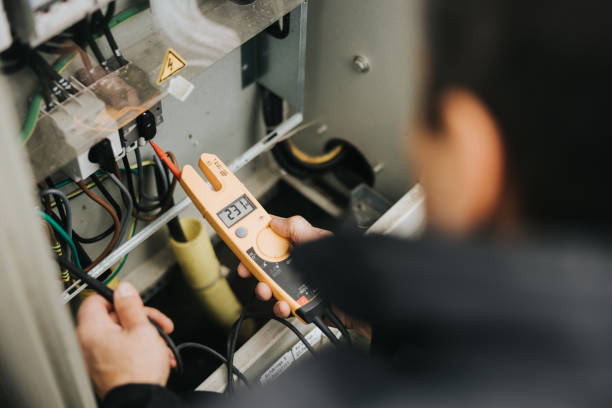 Best Electrician for Home Renovation  in Hinckley, IL
